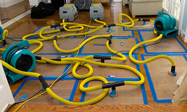 Professional Water Extraction technician working in Lexington, OH